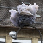 SCHWEIZ URBAN ART FESTIVAL 2014